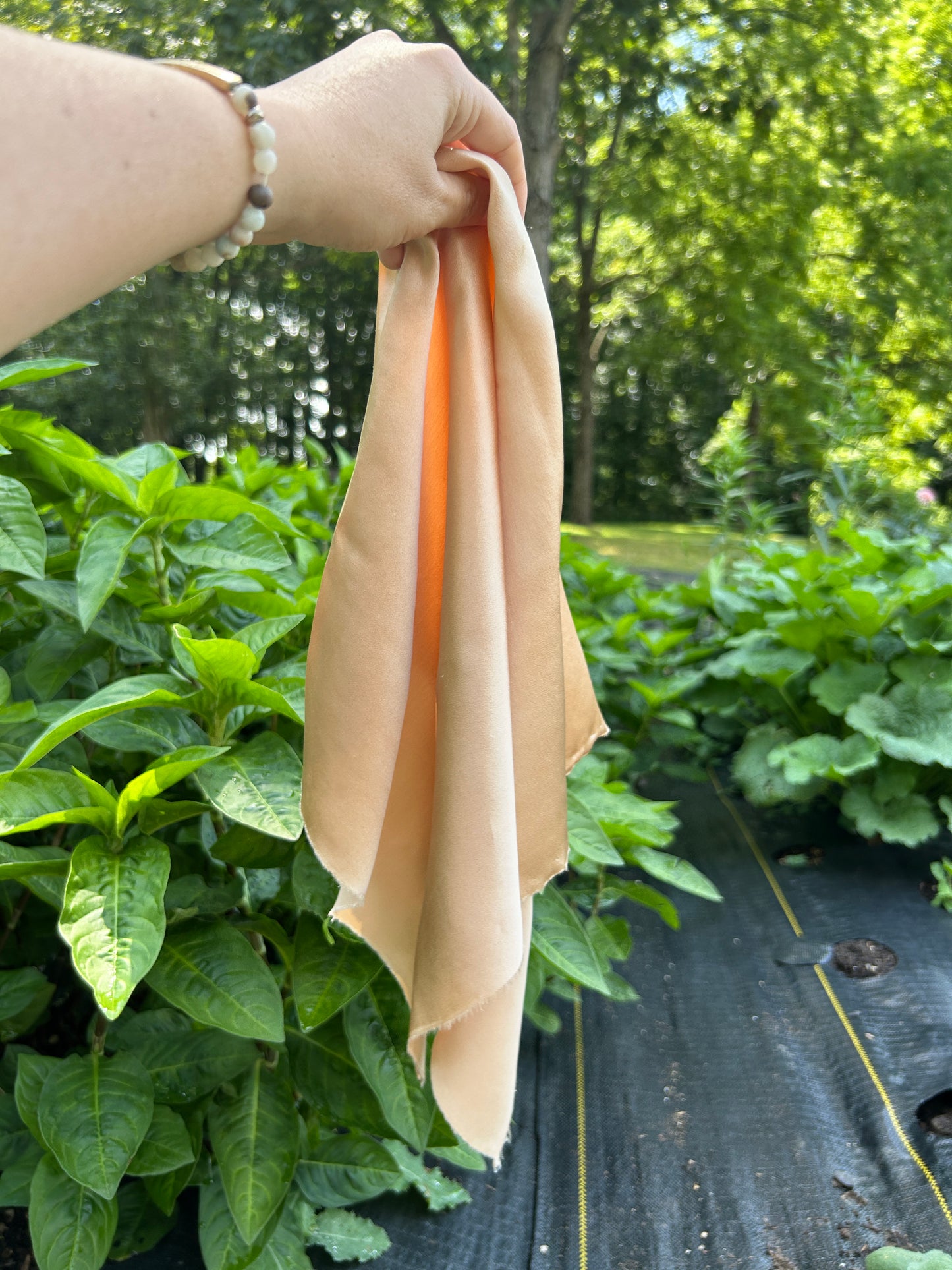 Georgia Peach silk bandana